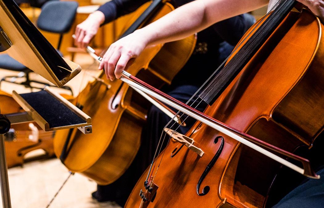 Convocatoria de Plazas